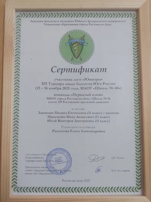 WhatsApp Image 2025-11-18 at 15.31.13