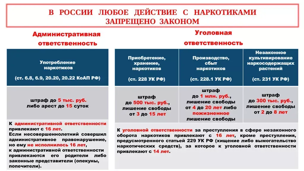 9c6157c8-874c-476a-876e-5908cad829ca