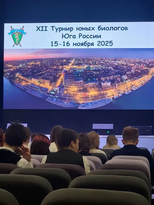 WhatsApp Image 2025-11-18 at 15.31.17